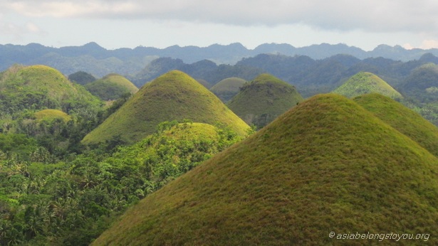 парк Chocolate hills