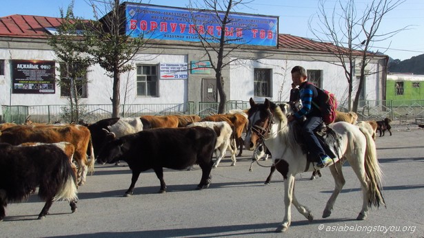 Улгий, улица Zaxiin Toiruu Zam